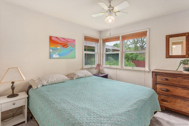 211 Grant St, Salida, CO 81201 - photo 24