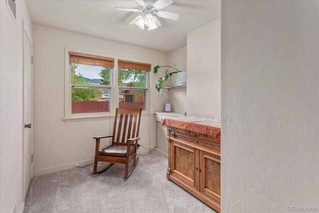 211 Grant St, Salida, CO 81201 - photo 26
