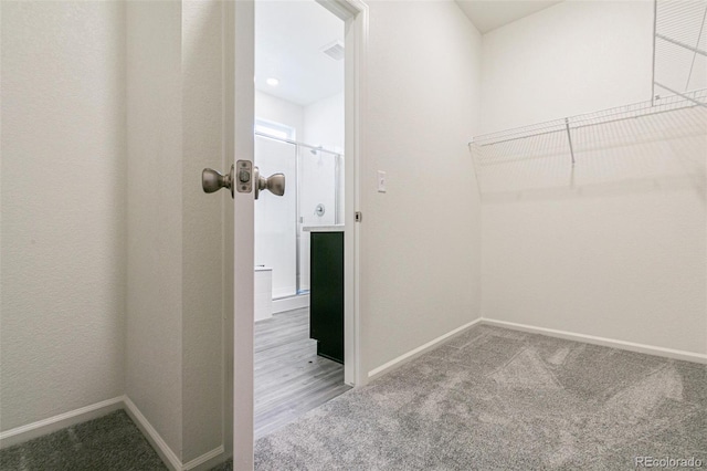 13322 E 110th Way, Commerce City, CO 80022 - walk in closet featuring carpet