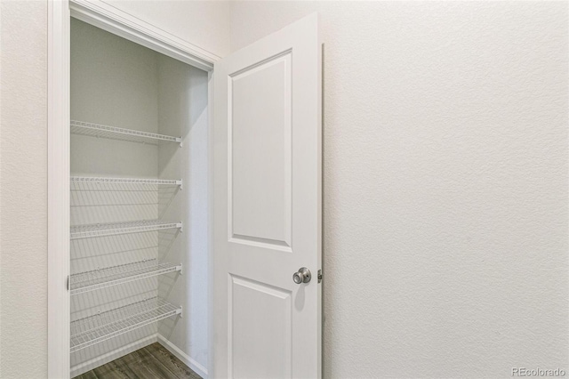 13322 E 110th Way, Commerce City, CO 80022 - view of closet