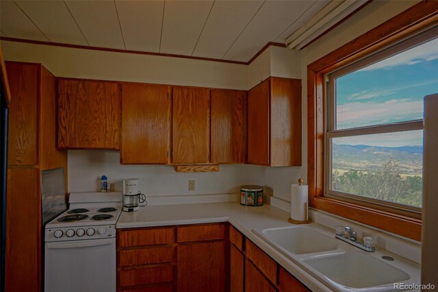 kitchen featuring crown molding, white electric range oven, and sink