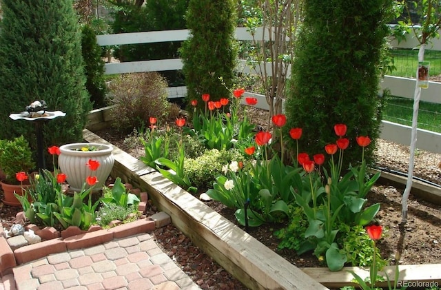 view of yard featuring fence and a vegetable garden