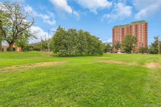 1000 E 1st Ave Unit 405, Denver, CO 80218 - view of yard