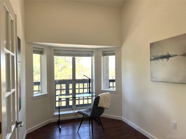 1000 E 1st Ave Unit 405, Denver, CO 80218 - living area featuring baseboards, plenty of natural light, a high ceiling, and dark wood-type flooring