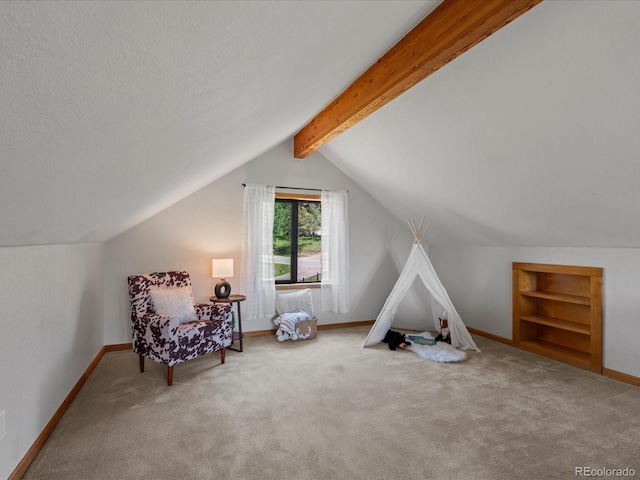 689 S Pine Dr, Bailey, CO 80421 - living area with carpet flooring and built in features