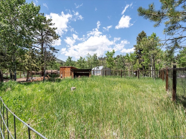689 S Pine Dr, Bailey, CO 80421 - view of yard