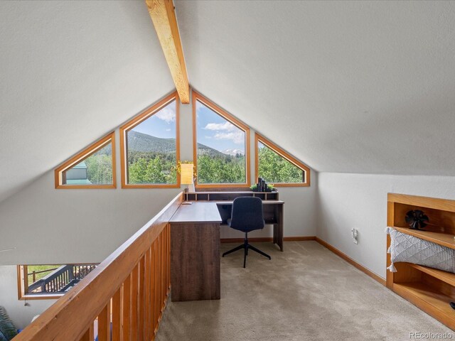 689 S Pine Dr, Bailey, CO 80421 - photo 11