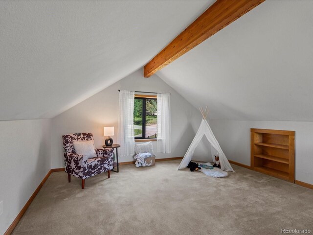 689 S Pine Dr, Bailey, CO 80421 - photo 12