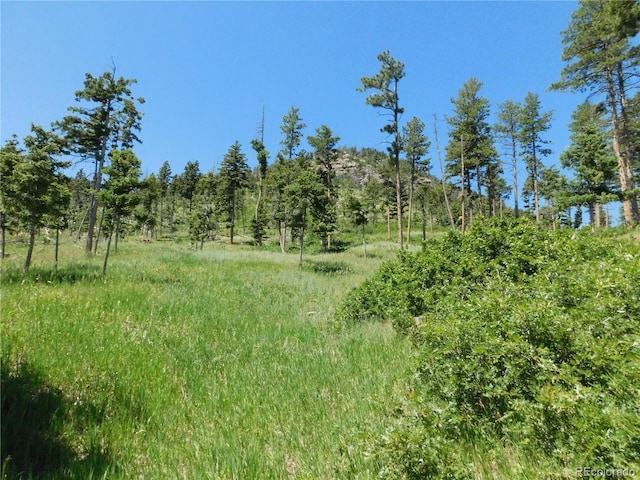 8276 Yuma Cir, Larkspur, CO 80118