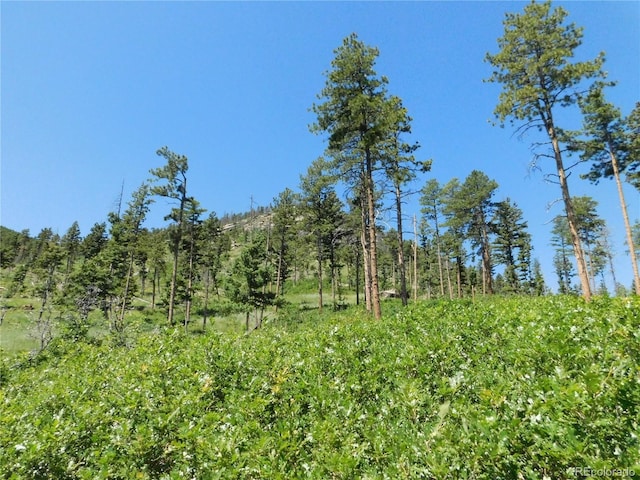 8276 Yuma Cir, Larkspur, CO 80118