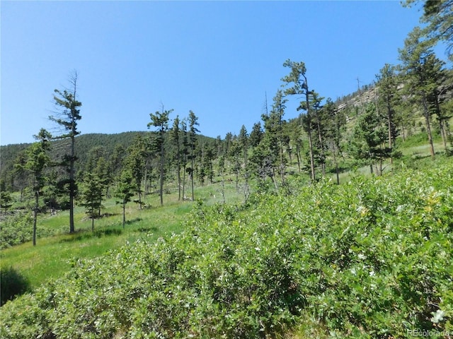 8276 Yuma Cir, Larkspur, CO 80118
