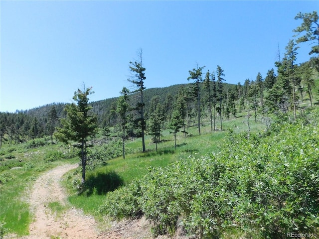 8276 Yuma Cir, Larkspur, CO 80118