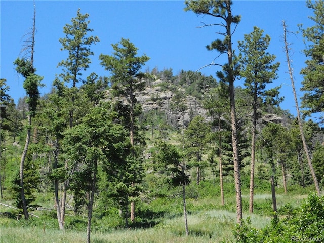 8276 Yuma Cir, Larkspur, CO 80118