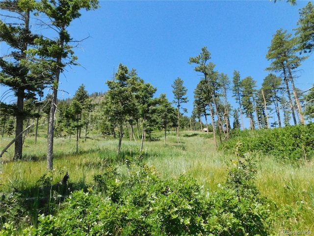 8276 Yuma Cir, Larkspur, CO 80118