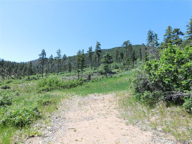 8276 Yuma Cir, Larkspur, CO 80118