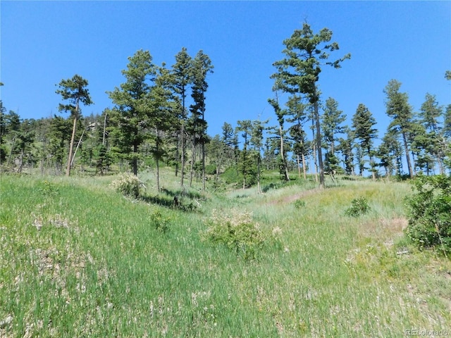 8276 Yuma Cir, Larkspur, CO 80118