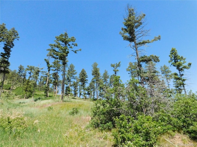8276 Yuma Cir, Larkspur, CO 80118