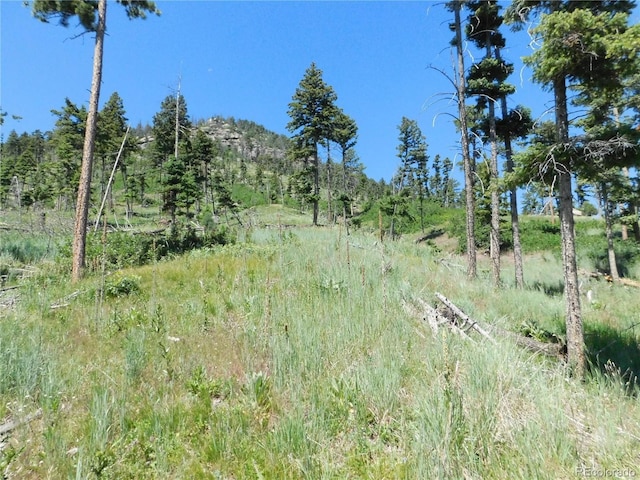 8276 Yuma Cir, Larkspur, CO 80118