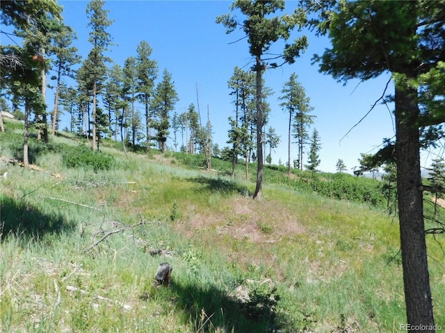 8276 Yuma Cir, Larkspur, CO 80118