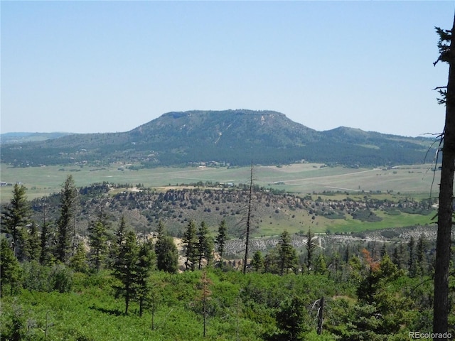 8276 Yuma Cir, Larkspur, CO 80118