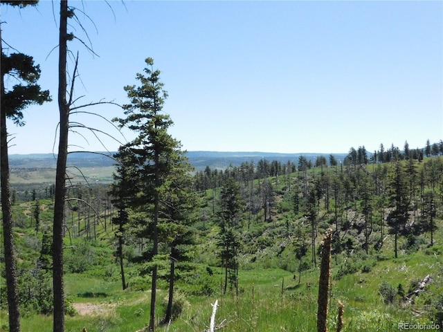 8276 Yuma Cir, Larkspur, CO 80118