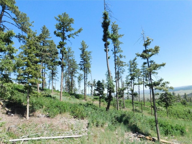 8276 Yuma Cir, Larkspur, CO 80118