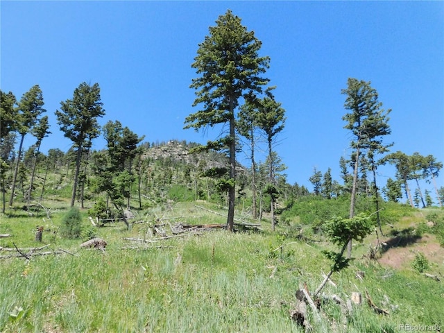 8276 Yuma Cir, Larkspur, CO 80118