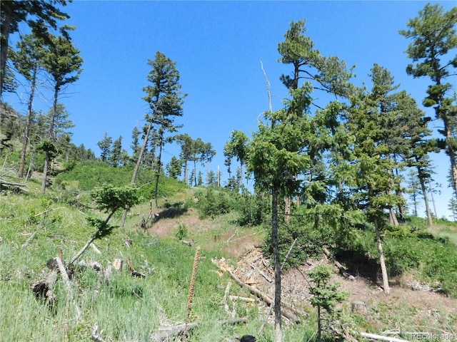 8276 Yuma Cir, Larkspur, CO 80118