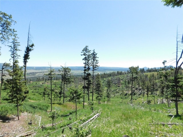 8276 Yuma Cir, Larkspur, CO 80118