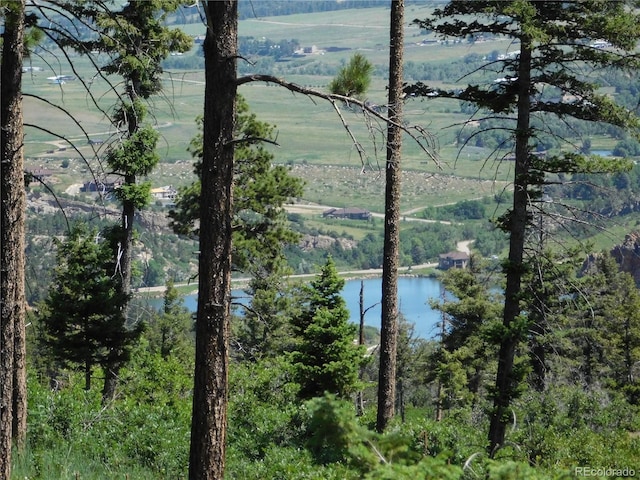 8276 Yuma Cir, Larkspur, CO 80118