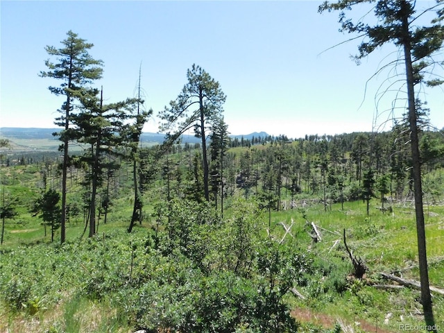 8276 Yuma Cir, Larkspur, CO 80118