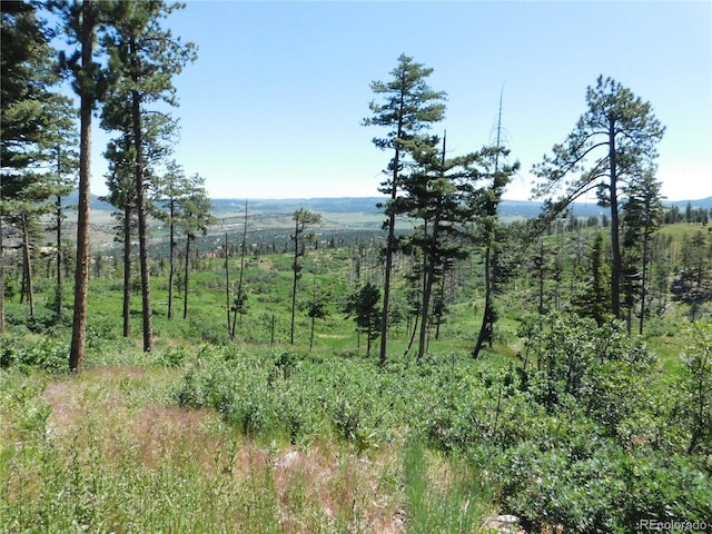 8276 Yuma Cir, Larkspur, CO 80118