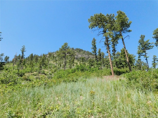 8276 Yuma Cir, Larkspur, CO 80118