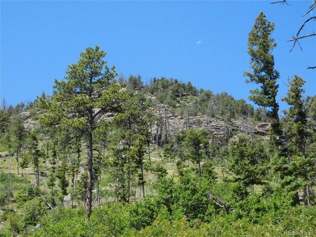 8276 Yuma Cir, Larkspur, CO 80118