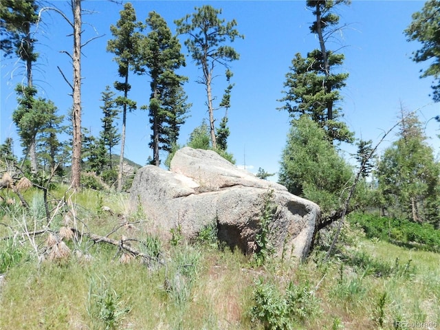 8276 Yuma Cir, Larkspur, CO 80118