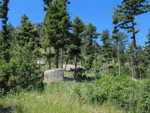 8276 Yuma Cir, Larkspur, CO 80118