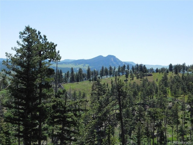 8276 Yuma Cir, Larkspur, CO 80118