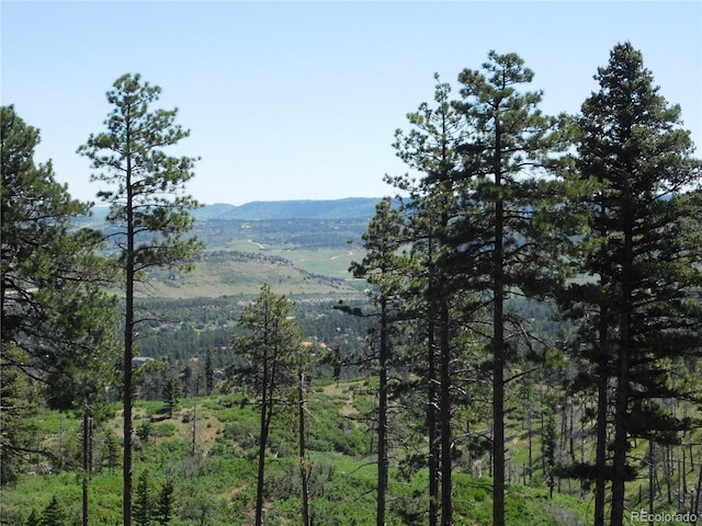 8276 Yuma Cir, Larkspur, CO 80118