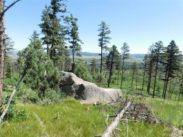 8276 Yuma Cir, Larkspur, CO 80118