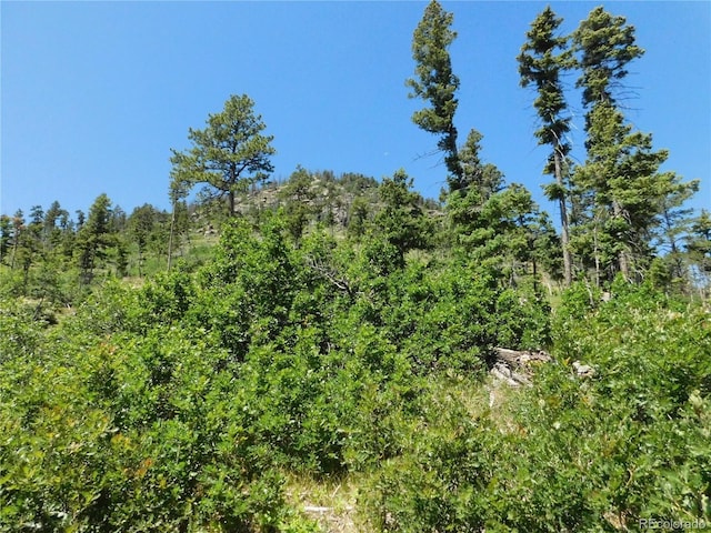 8276 Yuma Cir, Larkspur, CO 80118