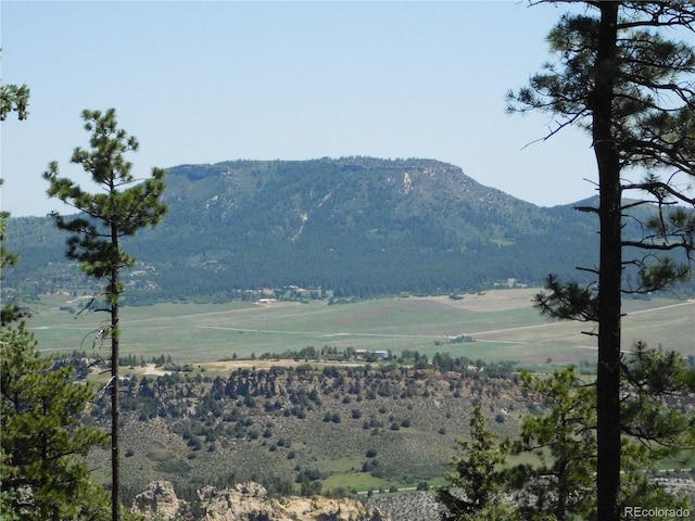 8276 Yuma Cir, Larkspur, CO 80118