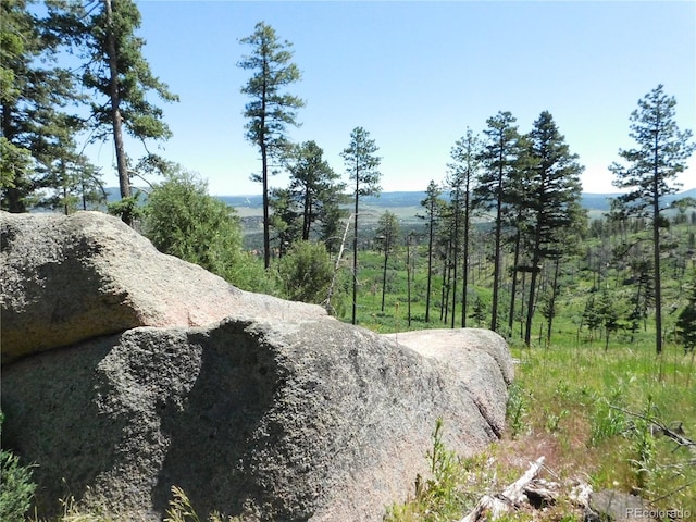 8276 Yuma Cir, Larkspur, CO 80118