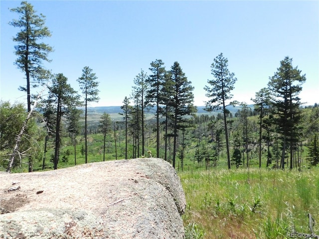 8276 Yuma Cir, Larkspur, CO 80118