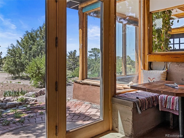 551 Panorama Way, Crestone, CO 81131 - entryway with plenty of natural light