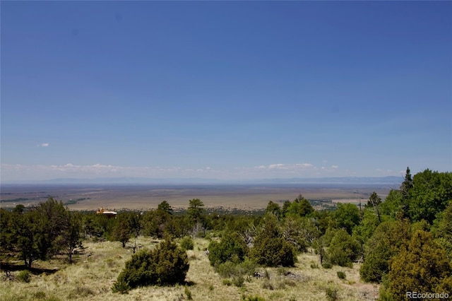 551 Panorama Way, Crestone, CO 81131 - mountain view