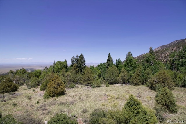 551 Panorama Way, Crestone, CO 81131 - view of local wilderness