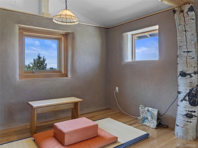 551 Panorama Way, Crestone, CO 81131 - dining room featuring wood finished floors, vaulted ceiling, and a textured wall