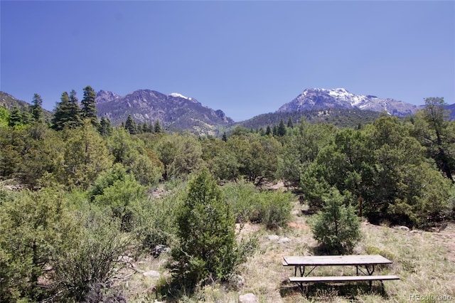 551 Panorama Way, Crestone, CO 81131 - view of mountain backdrop with a heavily wooded area