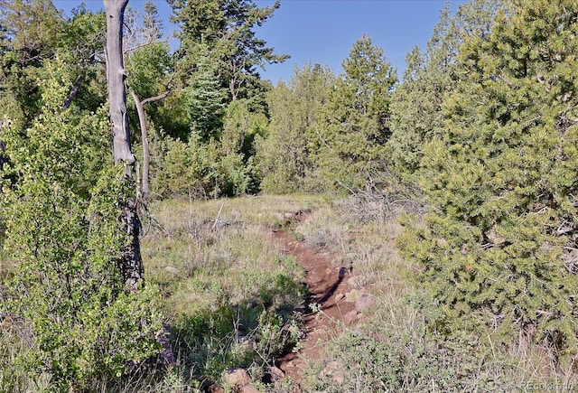 551 Panorama Way, Crestone, CO 81131 - view of undeveloped land