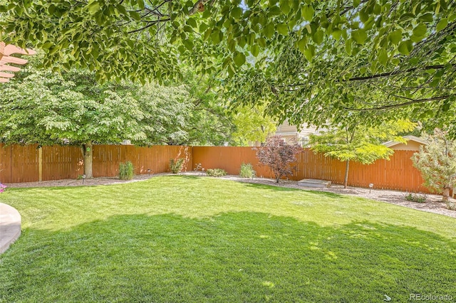 13289 Columbine Ct, Thornton, CO 80241 - photo 23
